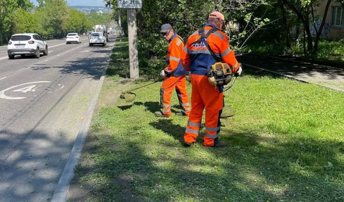 Во всех районах Иркутска косят траву