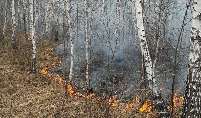 Три лесных пожара потушили в Приангарье 6 июня