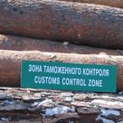 Удельный вес древесины и целлюлозно-бумажных изделий в экспорте Иркутской области составил 33