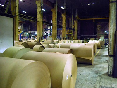 В Иркутской области планируется построить еще один целлюлозно-бумажный завод