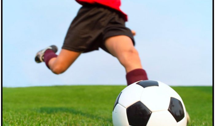 По всей Иркутской области откроются отделения специализированной спортивной школы по футбол