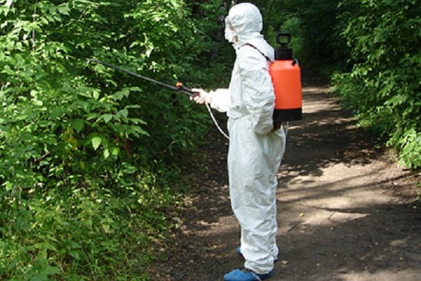 Иркутян обезопасят от клещей