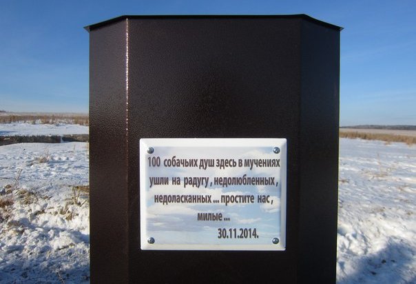 В Иркутском районе волонтеры установили памятник погибшим при пожаре собакам