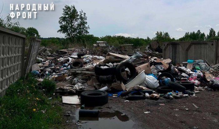 В Иркутске на берегу Ушаковки уберут свалку