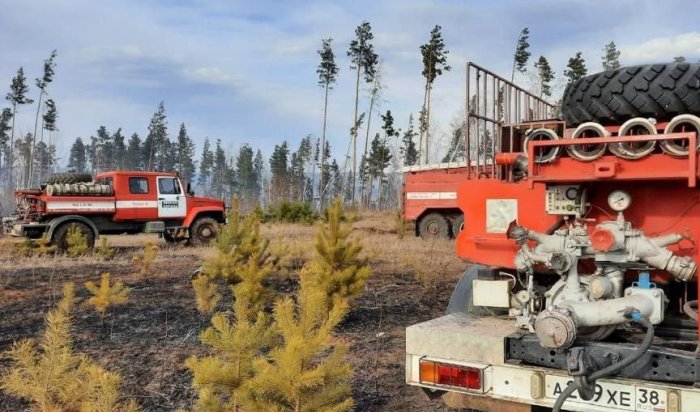 256 га леса горит в Иркутской области