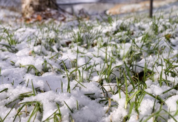 Завтра в Иркутскую область нагрянет мокрый снег
