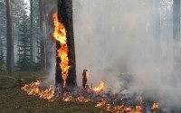 В два раза снизилось число пожаров в Иркутской области