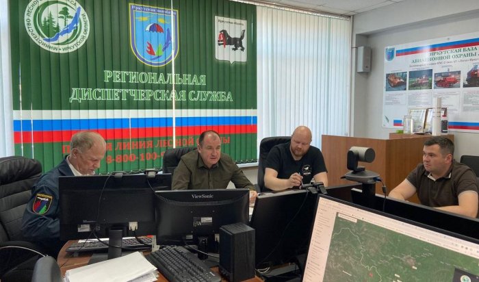 В Бодайбинский район отправили дополнительные группировки для тушения лесных пожаров