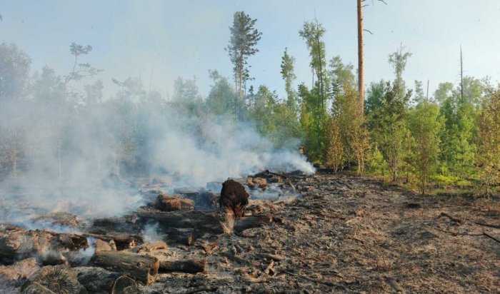 Два лесных пожара потушили в Иркутской области за прошедшие сутки