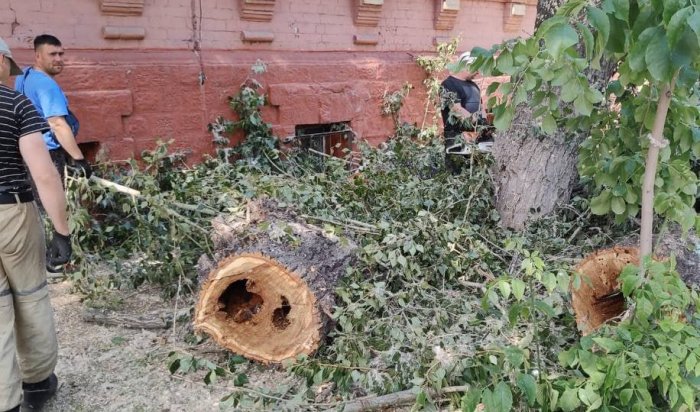 Сухие деревья валят в центре Иркутска