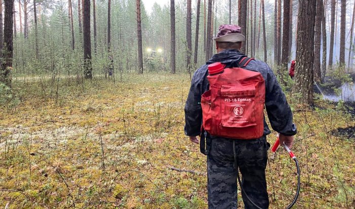 В Бодайбинском районе потушили крупный лесной пожар