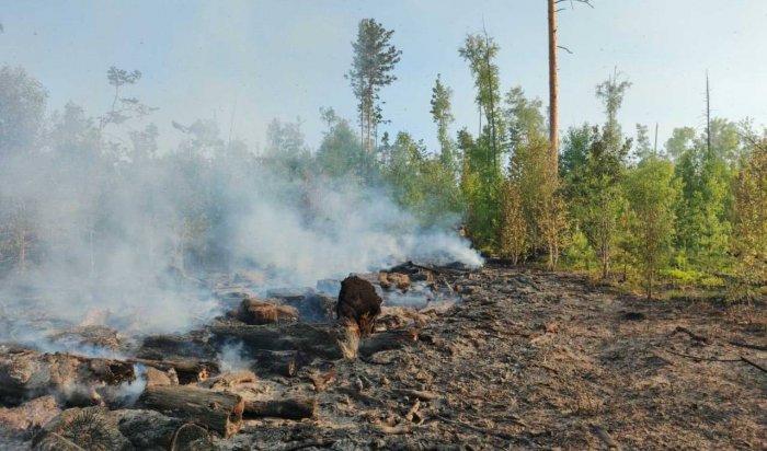 5 809 га леса горит в Иркутской области