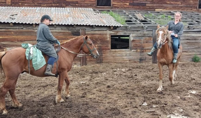 В Приангарье ускорят темпы регистрации лошадей