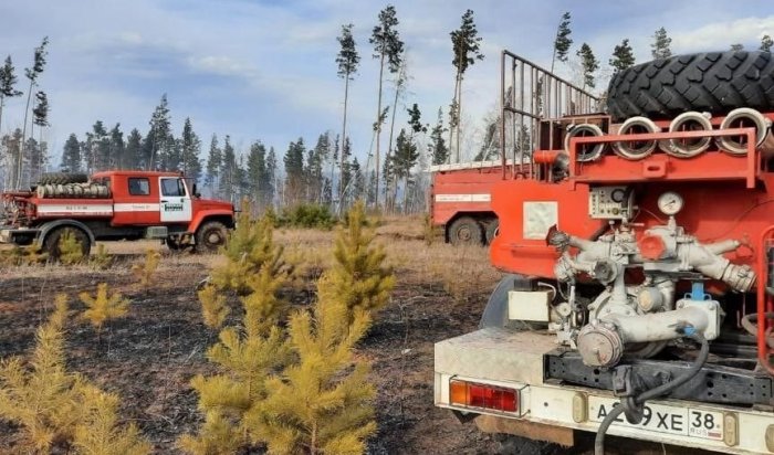 Три лесных пожара потушили в Приангарье за прошедшие сутки