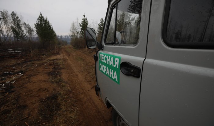 За сутки 22 августа в Приангарье потушили два лесных пожара