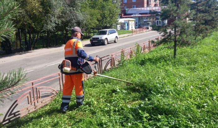 В минувшие выходные в Иркутске прошел покос травы