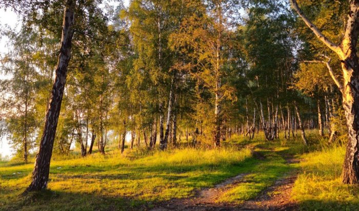 Это что? Бабье лето? Теплые выходные ожидаются в Иркутской области