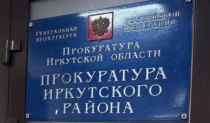 Трем детям выплатят компенсацию за нападение собак на территории Иркутского района