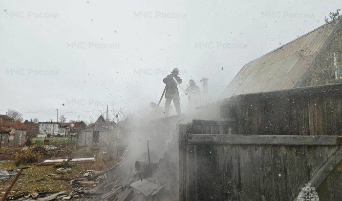 Два садовых дома сгорели в Братске