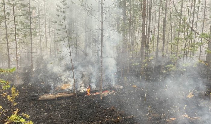 В Ольхонском районе тушат лесной пожар