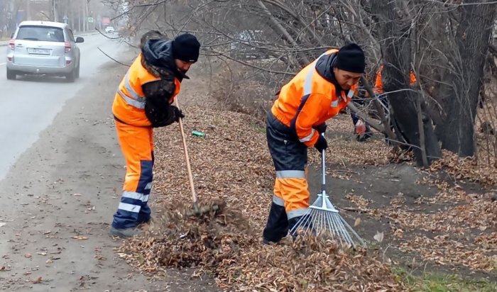 На выходных улицы Иркутска очищали листвы и мусора