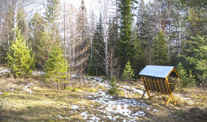 В Прибайкальском нацпарке инспекторы наполняют кормушки для животных