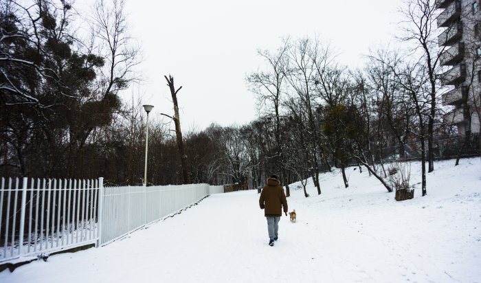 Морозы до -38° придут в Сибирь в начале декабря