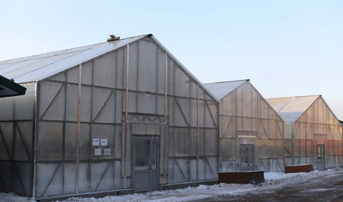 Девять новых теплиц установили в иркутском «Горзеленхозе»