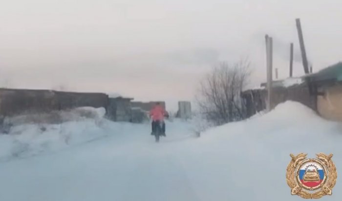 15-летний мотоциклист устроил погоню с полицейскими в Черемховском районе (Видео)