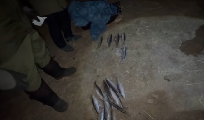 Двух браконьеров задержали в Ольхонском районе (Видео)