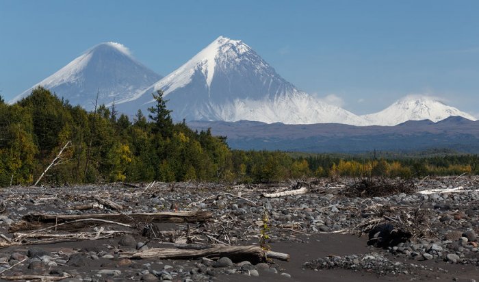 На Камчатке произошло более 115 землетрясений за сутки