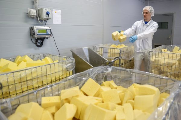 Роспотребнадзор запретил ввоз на территорию России сыров из Польши