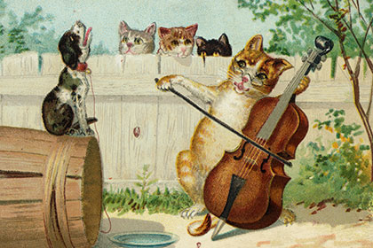 Ученые создали первую в мире музыку для кошек на основе мяуканья (ВИДЕО)