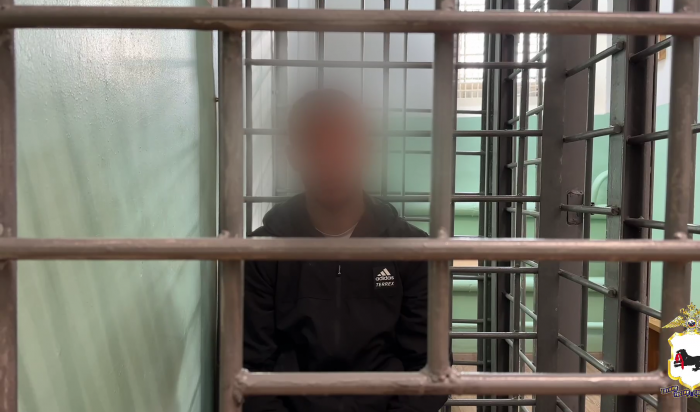 В Ангарске трое парней за день совершили два грабежа и избили мужчину (Видео)