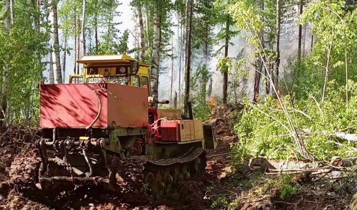 В Приангарье за сутки потушено семь лесных пожаров