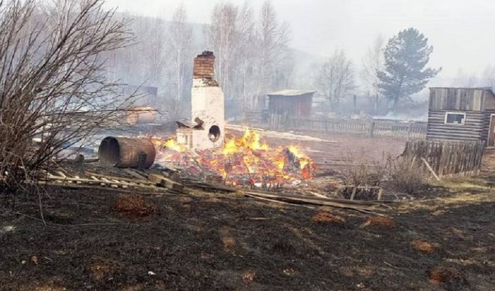 Крупный пожар в Братском районе: сгорели тридцать дач