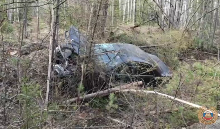 В Братске водитель легковушки погиб, съехав в кювет (Видео)
