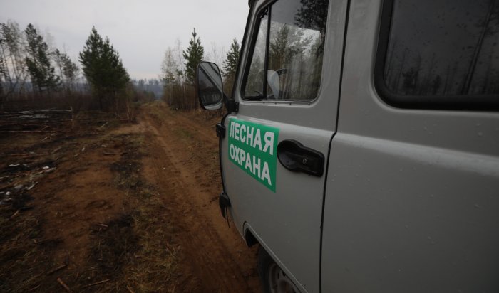 Два лесных пожара потушено за сутки в Приангарье