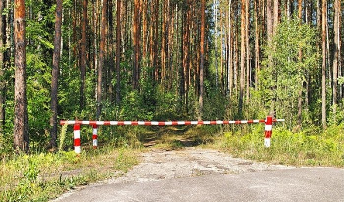 Особый противопожарный режим введут на севере Приангарья