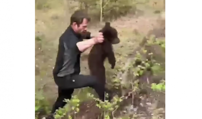 В Нижнеилимском районе неизвестные сбросили медвежонка с дерева (Видео)