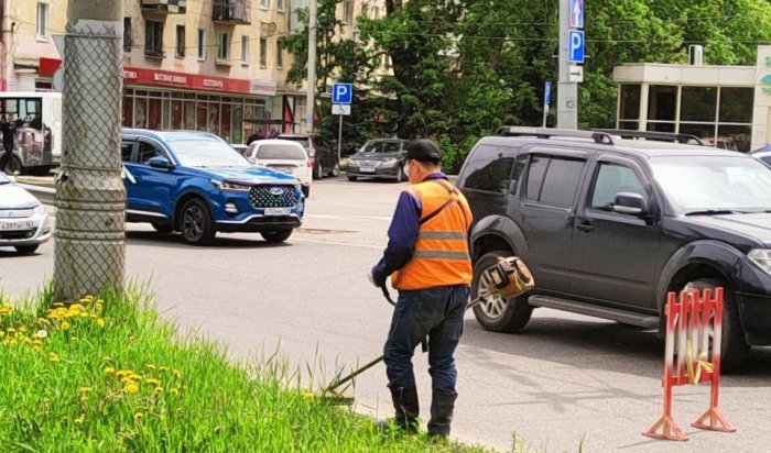 Покос травы проводят во всех районах Иркутска
