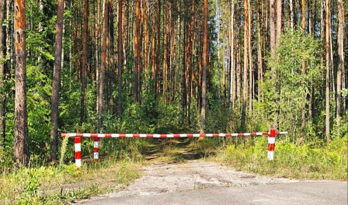 В Приангарье вводится ограничение на посещение лесов