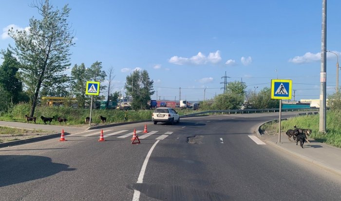 В Ленинском районе подросток на самокате попал под колеса автомобиля