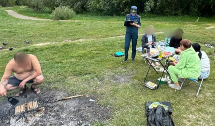 В Ангарске мужчину оштрафовали за использование мангала на природе