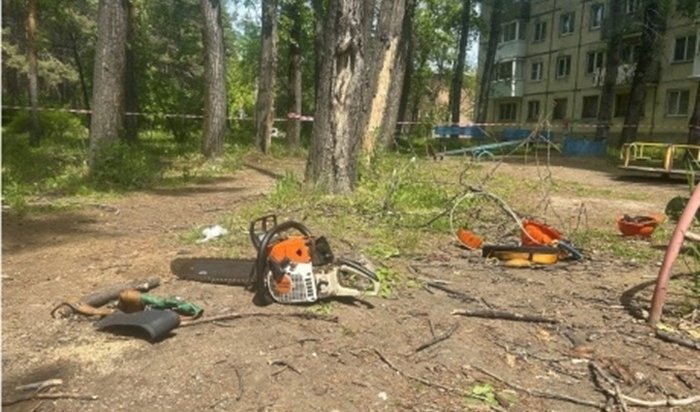 В Шелехове рабочий умер при валке аварийных деревьев