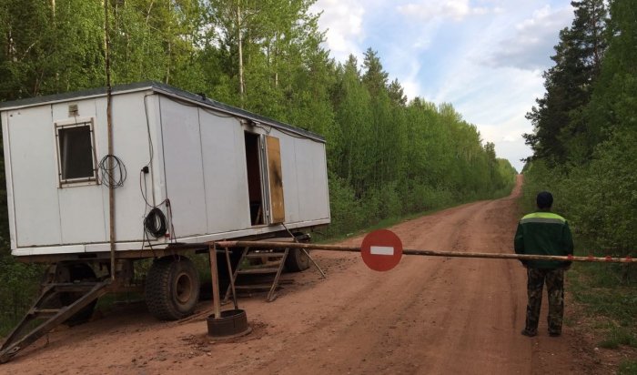 В Приангарье снова ввели ограничение на посещение лесов