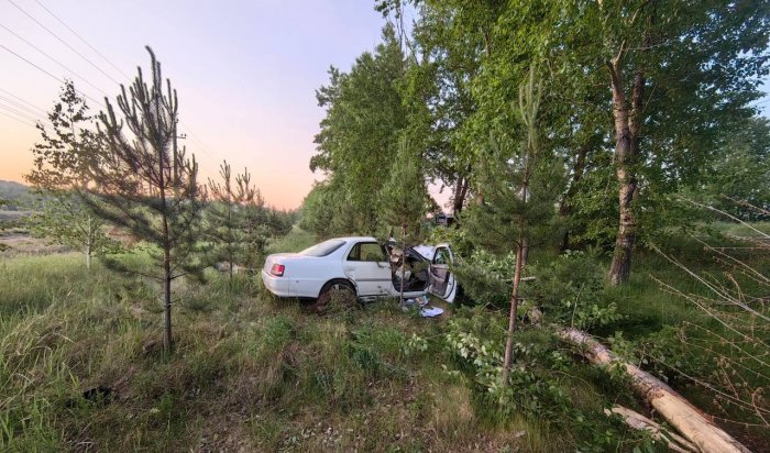 В Иркутске и Иркутском районе за неделю произошло 22 аварии