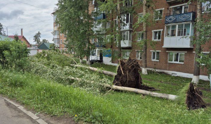 В Тулуне сильный ветер сорвал кровлю домов и повалил деревья (Видео)
