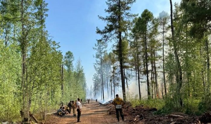 В лесах Иркутской области за сутки ликвидировано 14 пожаров