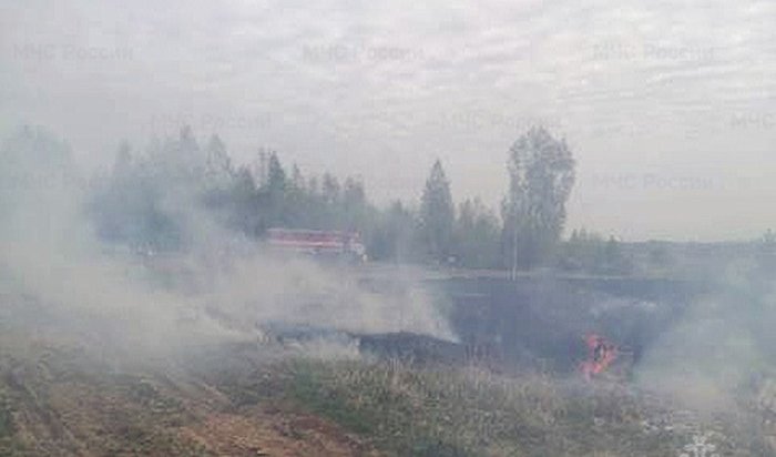 В Приангарье уменьшилось количество ландшафтных пожаров